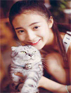 《恋糸记念日-人在囧途下载》